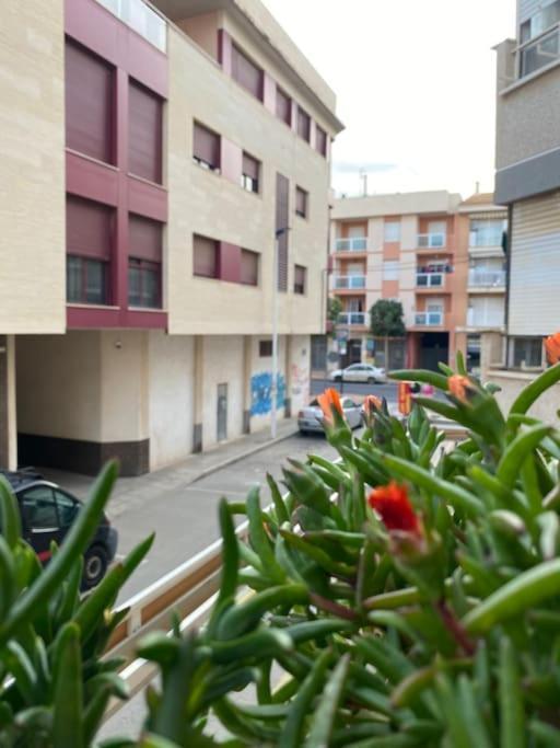 Voulez Vous Numero Uno San Pedro del Pinatar Exterior photo